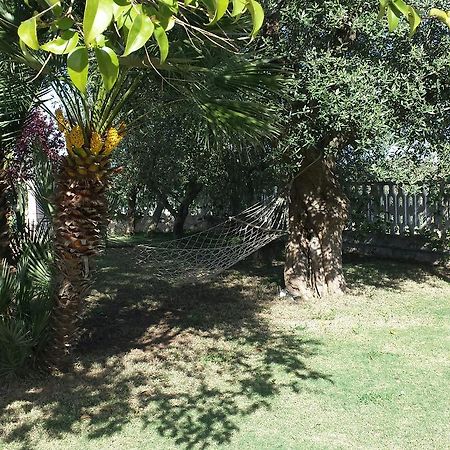 B&B Margherita Ostuni Bagian luar foto
